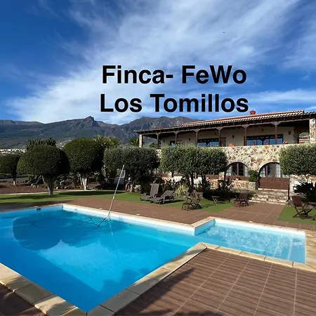 Tomillos * Candelaria